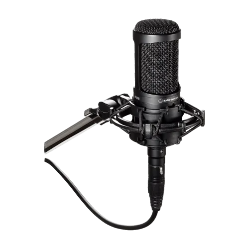 Audio Technica AT2020 2