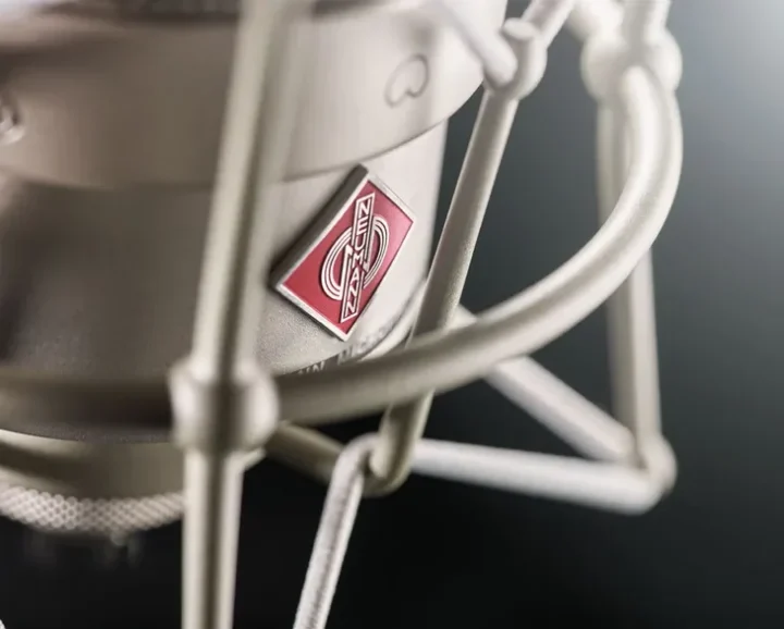Neumann TLM49 網罩細節 Neumann TLM49 網罩細節